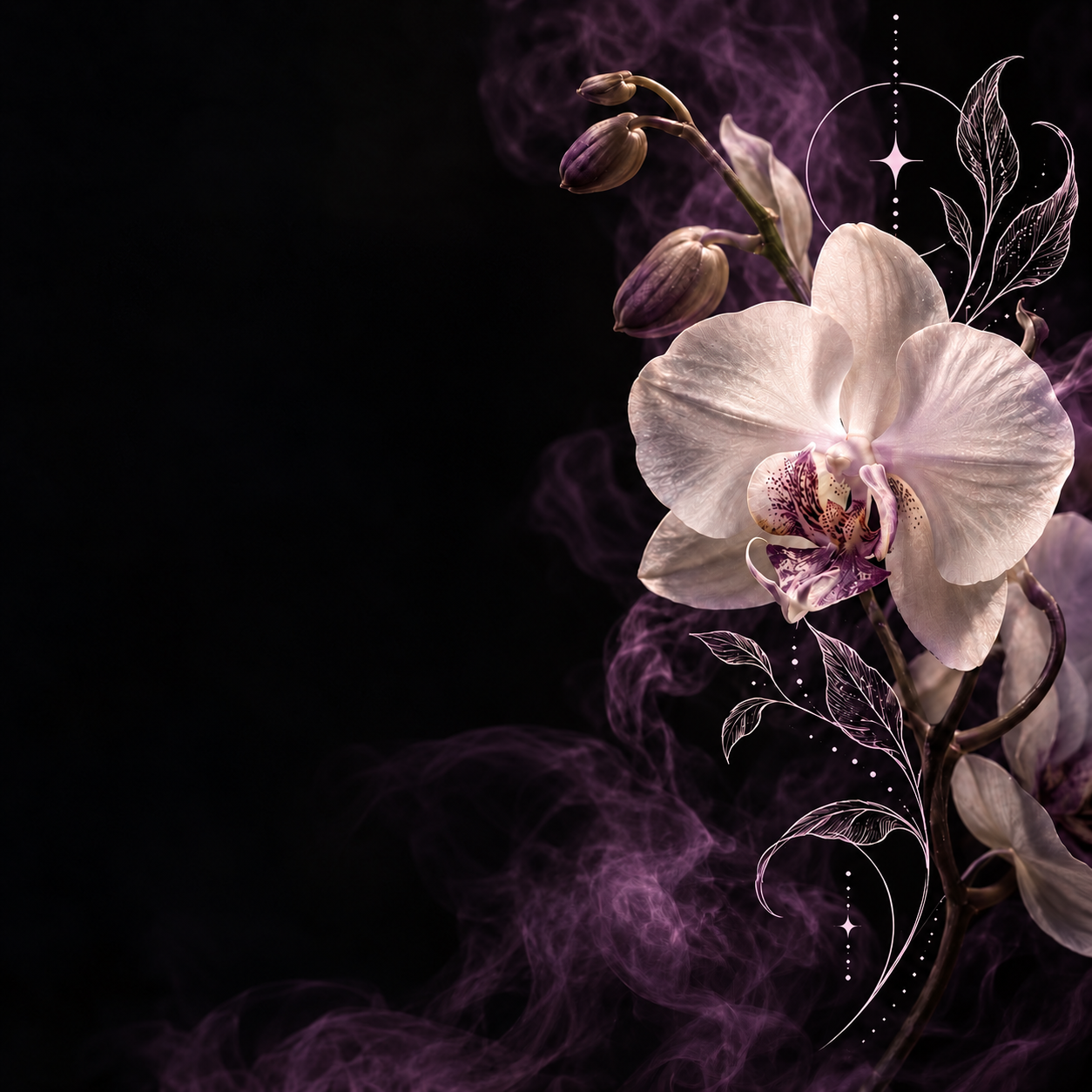Ghost Orchid Tattoo artwork: a pale orchid in bloom with buds, drawn leaves and drifting smoke
